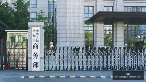 电竞赛事延期，战队备战新策略